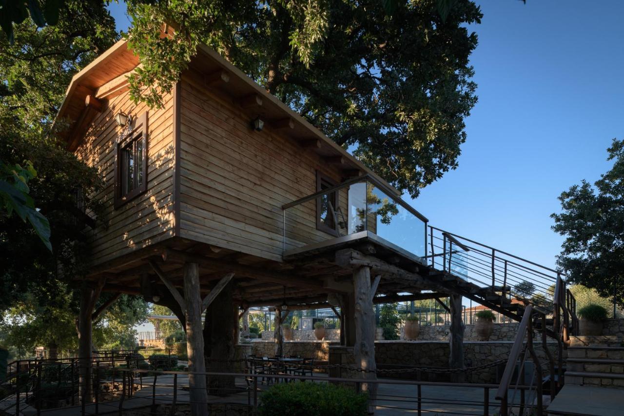 Вилла Stolidi Mou Treehouse Аципопуло Экстерьер фото