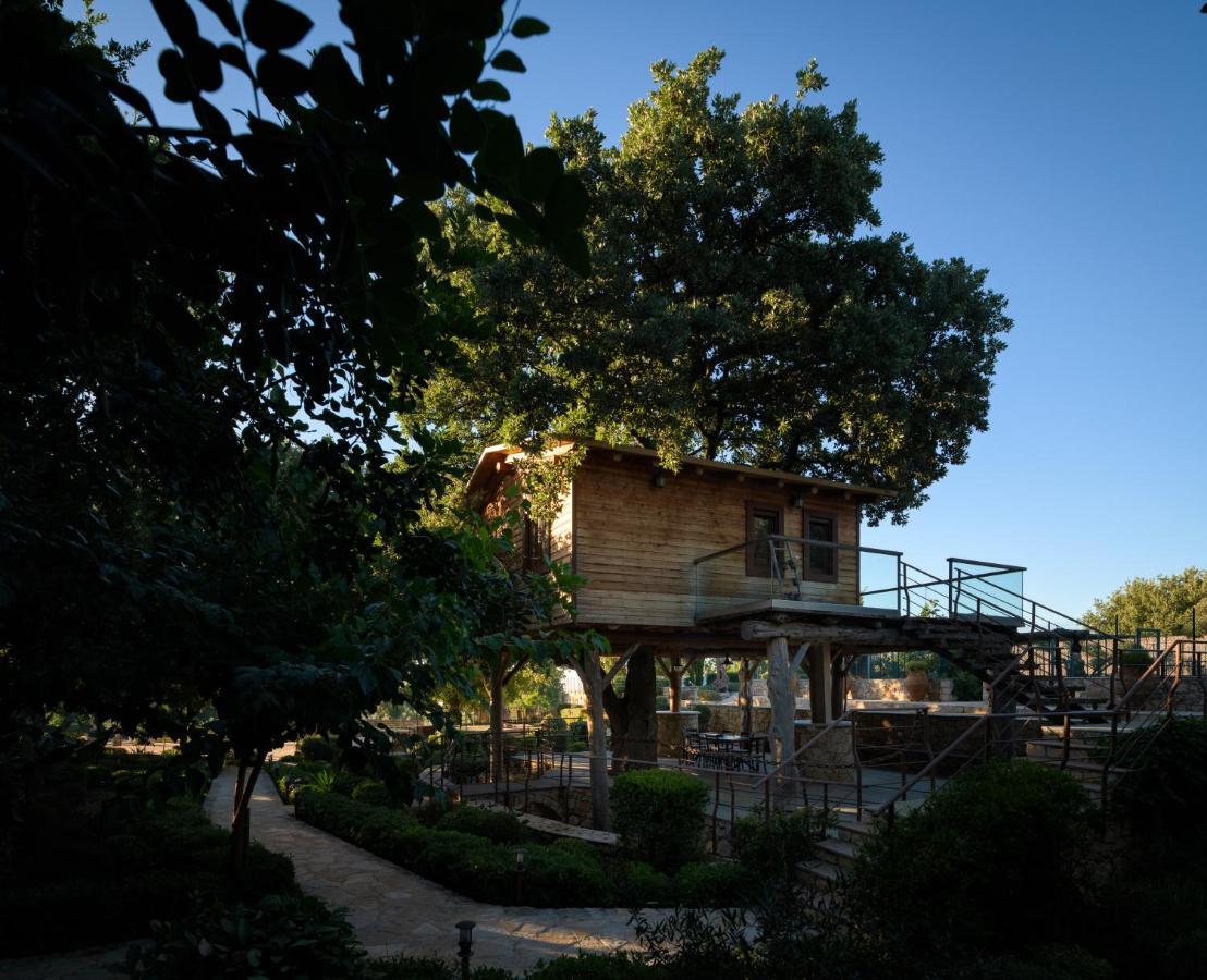 Вилла Stolidi Mou Treehouse Аципопуло Экстерьер фото